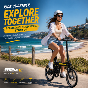 Demo E-Bike Foldable (Pedal assist)